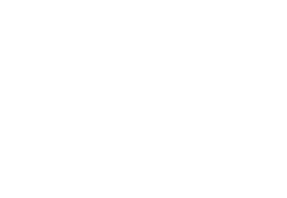 Centric Wallet